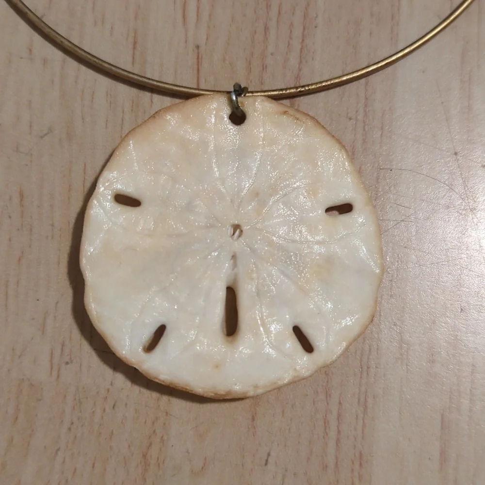 Unique Vintage Sand Dollar Choker - Picture 3 of 5
